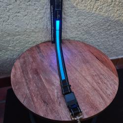 Laisse lumineuse EYENIMAL Rechargeable bleu