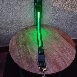 Laisse lumineuse EYENIMAL Rechargeable vert