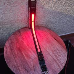 Laisse lumineuse EYENIMAL Rechargeable rouge