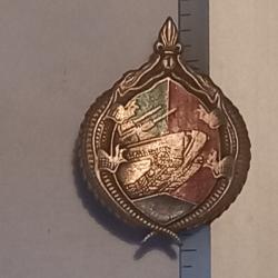 Insigne du 11ème escadron du 2ème groupe amphibie du 1er régiment étranger de cavalerie (1er REC)