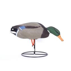 Soldes ! Appelant réaliste colvert mâle mangeur avec pied