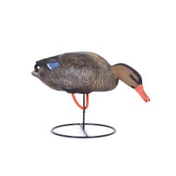 Soldes ! Appelant réaliste colvert femelle mangeur avec pied