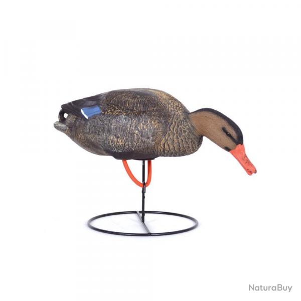 Soldes ! Appelant raliste colvert femelle mangeur avec pied