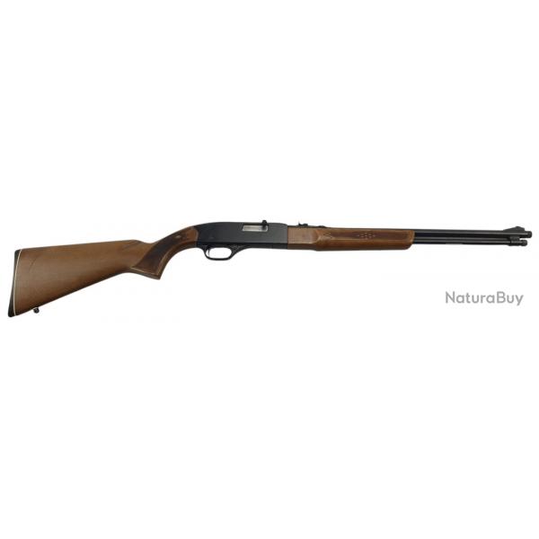 OCCASION SA - CARABINE SEMI-AUTO WINCHESTER 290 CAL.22LR