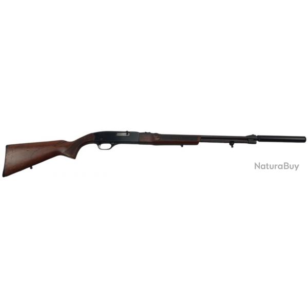 OCCASION SA - CARABINE SEMI-AUTO WINCHESTER 290 CAL.22LR + MODERATEUR