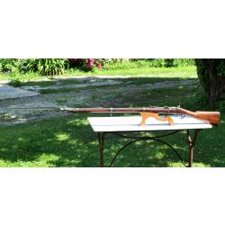 Fusil réglementaire Albini-Braendlin calibre 11 mm XIX 1868 PIRLOT FRERES catégorie D SCN25PIR001