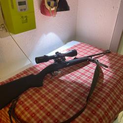 kipplauf 308