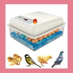 Couveuse tout type d'oeufs ( livraison en 48h)