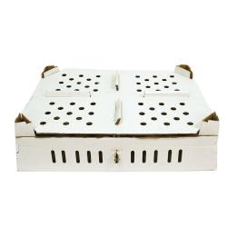 Soldes ! Lot de 25 boîtes transport poussins