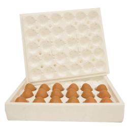 Soldes ! Boîtes pour oeufs fécondés (5 boites de 30)