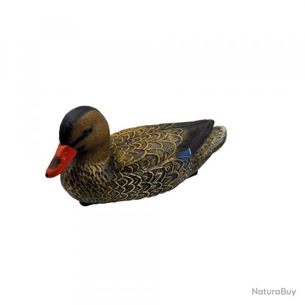 Soldes ! Blette de Colvert femelle Haute Dfinition
