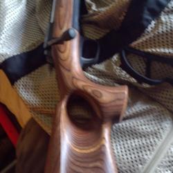 Browning x-bolt ellipse