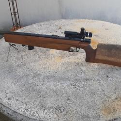 Carabine Walther 22lr
