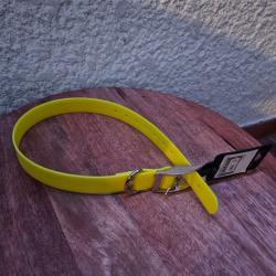 Collier pour chien fluo jaune