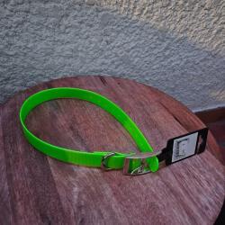 Collier pour chien fluo vert