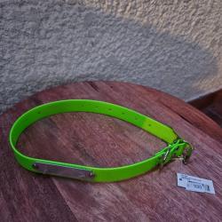 Collier pour chien fluo vert avec plaque