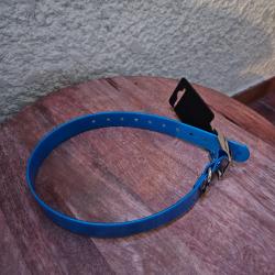 Collier pour chien fluo bleu