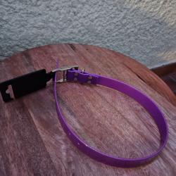 Collier pour chien fluo violet