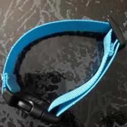 Collier chien