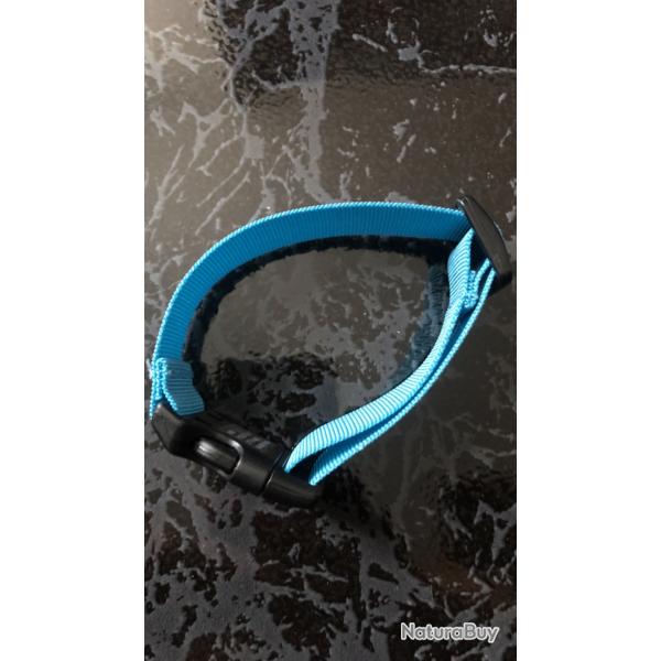 Collier chien