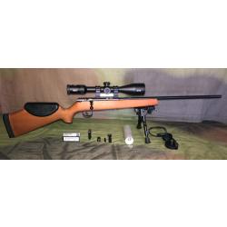 Vends Carabine 22lr préparée Précision