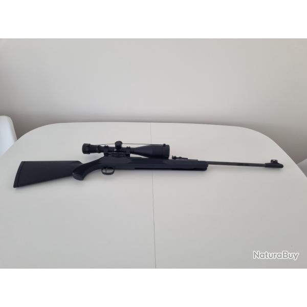 Carabine  plomb Diana Panther 31