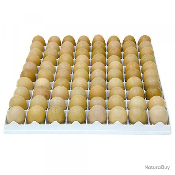 Soldes ! Panier d'incubation oeufs poules TR80