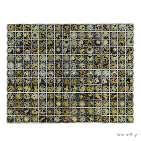 Soldes ! Panier d'incubation oeufs cailles TR208