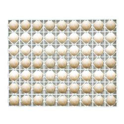 Soldes ! Panier d'incubation pour 63 oeufs de canne/dinde TR63