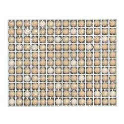 Soldes ! Panier d'incubation oeufs de perdrix TR154