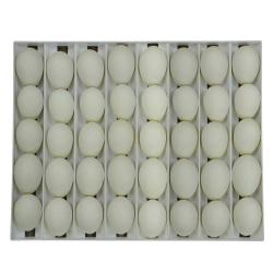 Soldes ! Panier d'incubation pour 40 oeufs d'oie TR40