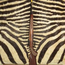 Carabine linéaire BROWNING T-Bolt Sporter Cal.22Lr chargeur rotatif, fileté