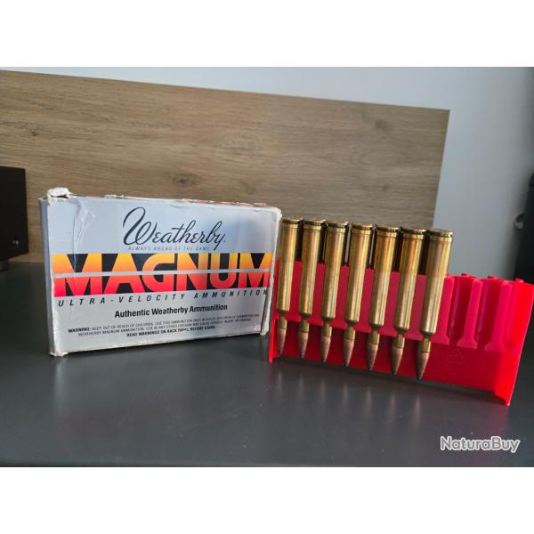 300 weatherby magnum 165 gr (lot de 14 cartouches)