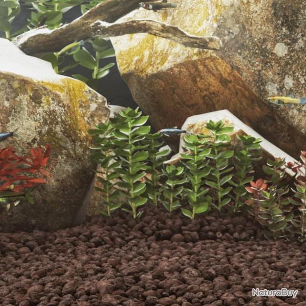 Roches volcaniques 10 kg rouge 3-5 cm
