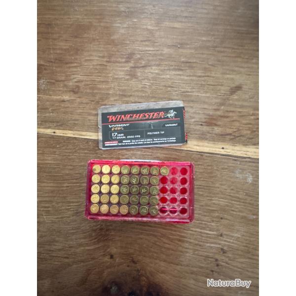 Balle winchester varmint hv 17hmr