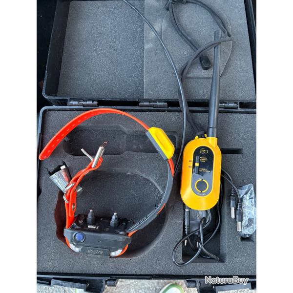 Dogtra pathfinder 2