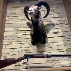 Carabine Rossi Levier sous garde Calibre 44 MAG