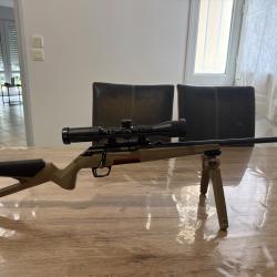 Winchester xpert 22l