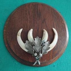 SUR ECUSSON BOIS 17X17CM 1 TROPHEE DEFENSES GRES DE SANGLIER