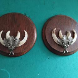 SUR ECUSSONS BOIS 16X16CM 2 TROPHEES DEFENSES GRES DE SANGLIER