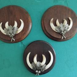 SUR ECUSSONS BOIS 17CM 3 TROPHEES DEFENSES GRES DE SANGLIER