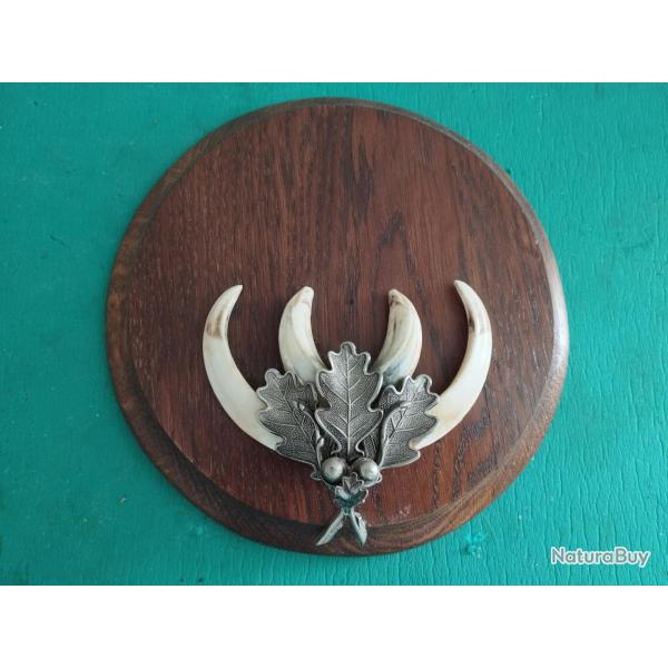 SUR ECUSSON BOIS 17X17CM 1 TROPHEE DEFENSES GRES DE SANGLIER