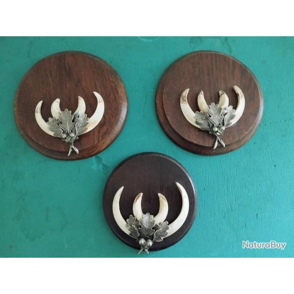 SUR ECUSSONS BOIS 17CM 3 TROPHEES DEFENSES GRES DE SANGLIER