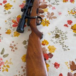 carabine steyr mannlicher modéle L calibre 243 win