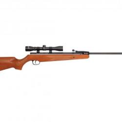 Remington Express - Carabine à plomb 4.5 mm
