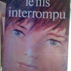 Le fils interrompu par André Miquel - J'ai lu -