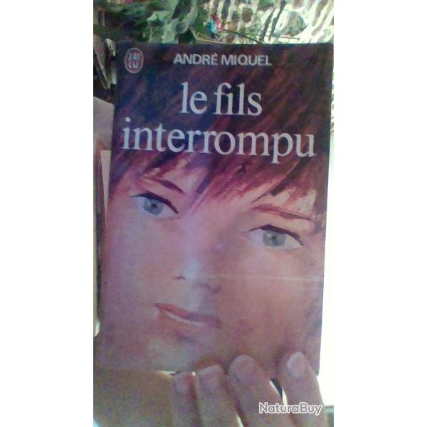 Le fils interrompu par Andr Miquel - J'ai lu -