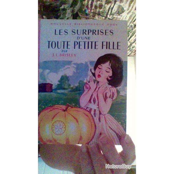 Les surprises d'une petite fille par J.LBrisley - Nouvelle Bibliothque rose -