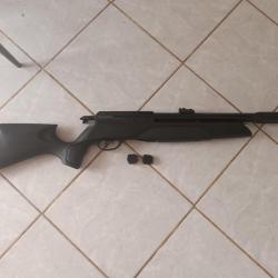 carabine à plombs gamo arrow PCP 4,5