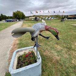 Sarcelle, ailes tournantes mécaniques, neuf déstockage, mise à prix 1 sans réserve